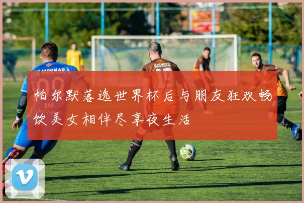 帕尔默落选世界杯后与朋友狂欢畅饮美女相伴尽享夜生活